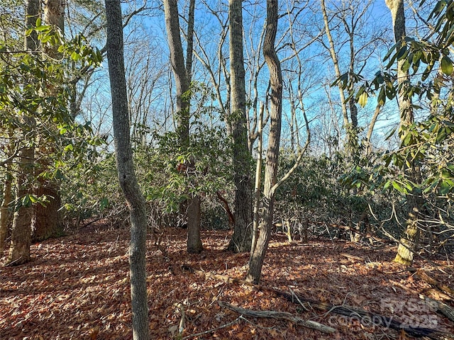 D17 Caroline Ln, Pisgah Forest, NC 28768 - photo 8