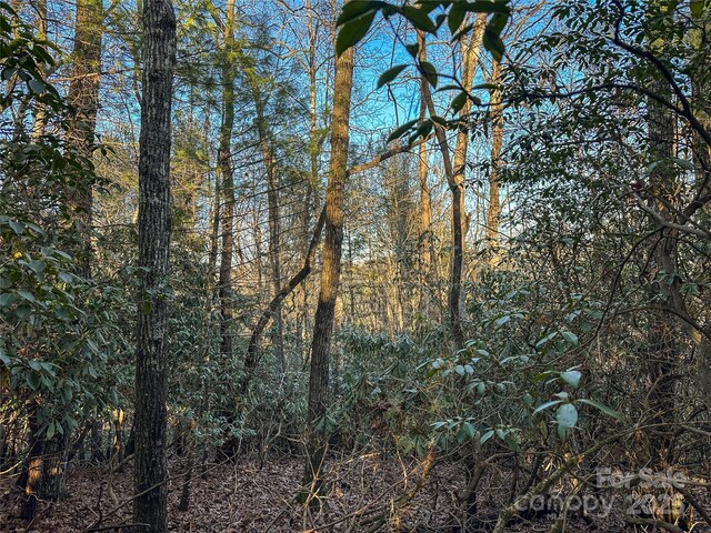 D17 Caroline Ln, Pisgah Forest, NC 28768 - photo 9