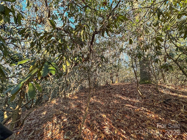 D17 Caroline Ln, Pisgah Forest, NC 28768 - photo 10