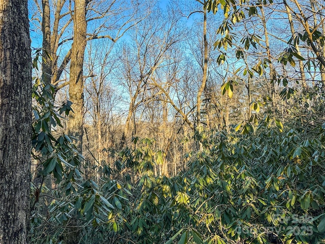 D17 Caroline Ln, Pisgah Forest, NC 28768 - photo 12