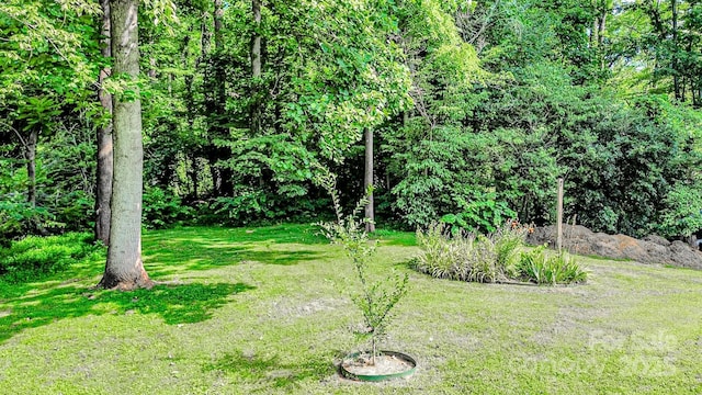 548 N Washington St, Rutherfordton, NC 28139 - photo 3