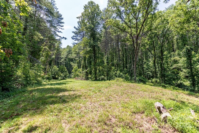 160 Mclean Rd, Weaverville, NC 28787 - photo 21