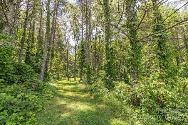 160 Mclean Rd, Weaverville, NC 28787 - photo 22