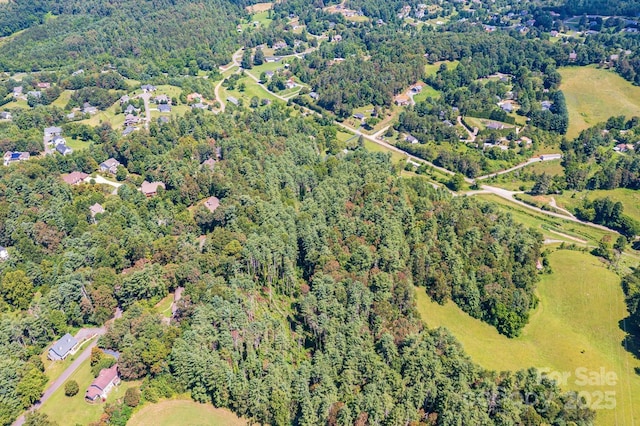 160 Mclean Rd, Weaverville, NC 28787 - photo 23