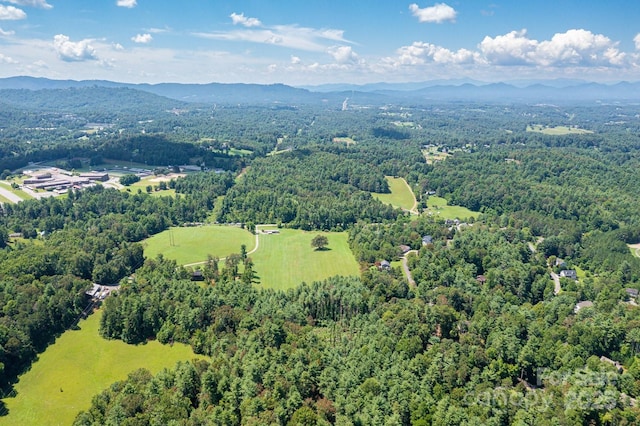 160 Mclean Rd, Weaverville, NC 28787 - photo 24