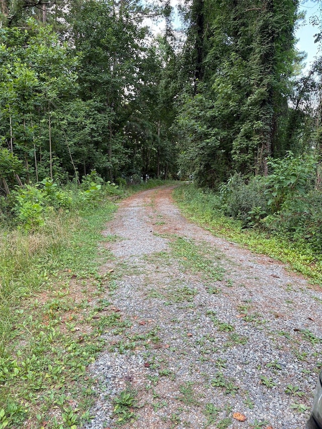 114 Woodberry Dr, Cherryville, NC 28021 - view of street featuring a view of trees