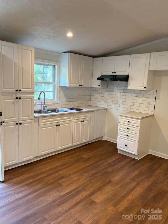 114 Woodberry Dr, Cherryville, NC 28021 - kitchen featuring under cabinet range hood, dark wood finished floors, white cabinets, tasteful backsplash, and recessed lighting