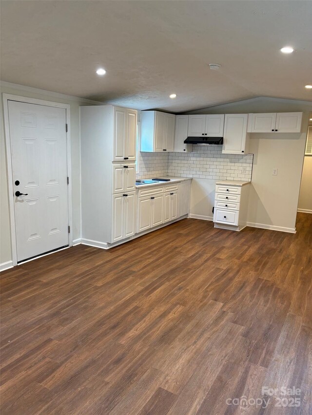114 Woodberry Dr, Cherryville, NC 28021 - kitchen featuring under cabinet range hood, dark wood-style floors, decorative backsplash, recessed lighting, and light countertops