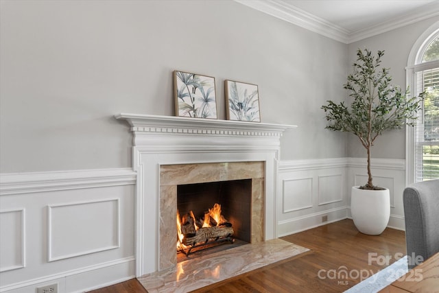 533 Valley Run Dr, Waxhaw, NC 28173 - detailed view of wood finished floors, a premium fireplace, and crown molding