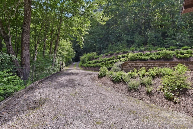 1158 Plott Balsam Rd, Maggie Valley, NC 28751 - photo 3