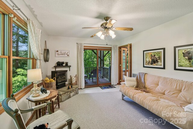 1158 Plott Balsam Rd, Maggie Valley, NC 28751 - photo 17