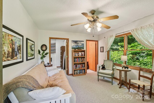 1158 Plott Balsam Rd, Maggie Valley, NC 28751 - photo 18
