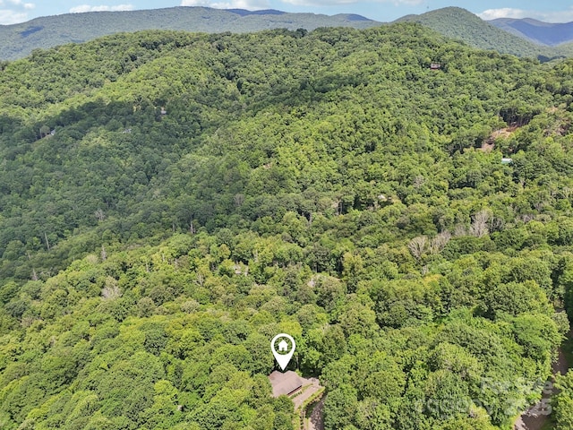 1158 Plott Balsam Rd, Maggie Valley, NC 28751 - photo 25