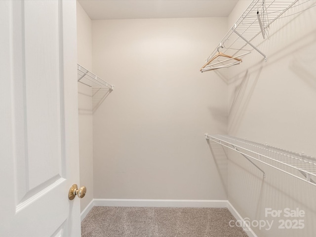 10650 Hill Point Ct, Charlotte, NC 28262 - photo 26