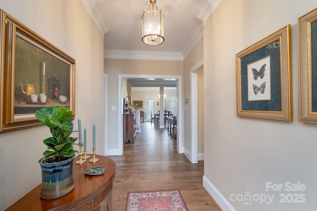 971 Blakeley Walk, Rock Hill, SC 29732 - hall with wood finished floors, a chandelier, and crown molding