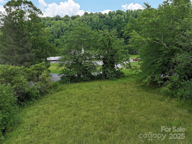 00 Mauney Cove Rd, Waynesville, NC 28786