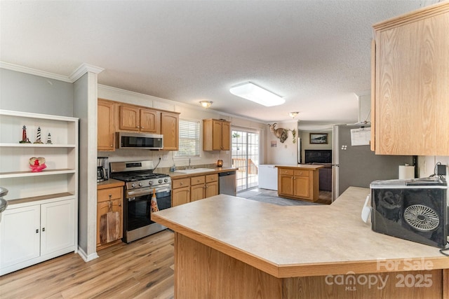 108 W Welsh St, Kershaw, SC 29067 - kitchen featuring appliances with stainless steel finishes, ornamental molding, light wood-type flooring, light countertops, and a peninsula