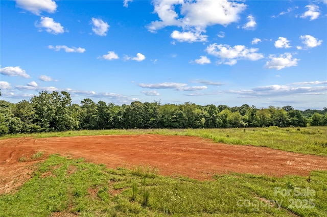 000 Cove Gap Rd, Statesville, NC 28625 - photo 19