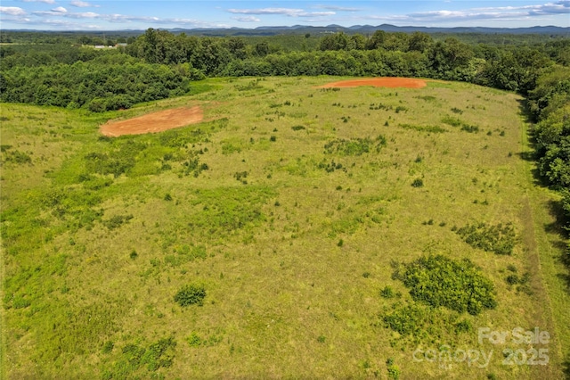 000 Cove Gap Rd, Statesville, NC 28625 - photo 31