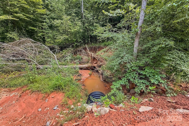 000 Cove Gap Rd, Statesville, NC 28625 - photo 33