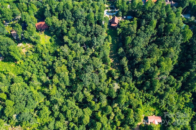 00 Glen Echo Cir, Saluda, NC 28773