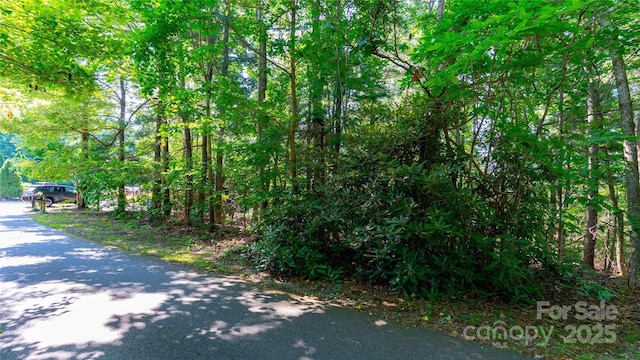 00 Glen Echo Cir, Saluda, NC 28773