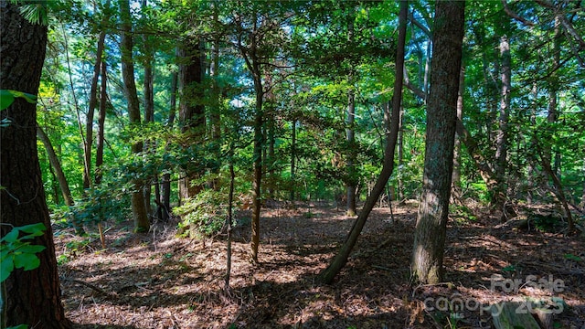 00 Glen Echo Cir, Saluda, NC 28773