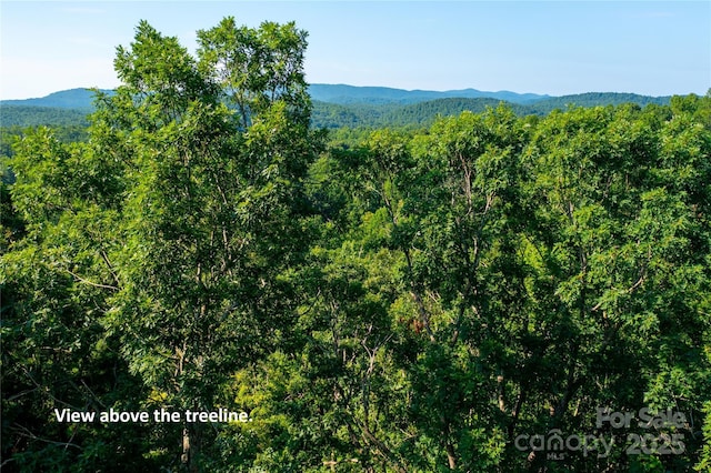 00 Glen Echo Cir, Saluda, NC 28773