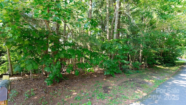 00 Glen Echo Cir, Saluda, NC 28773