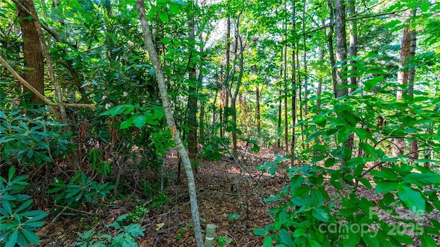 00 Glen Echo Cir, Saluda, NC 28773