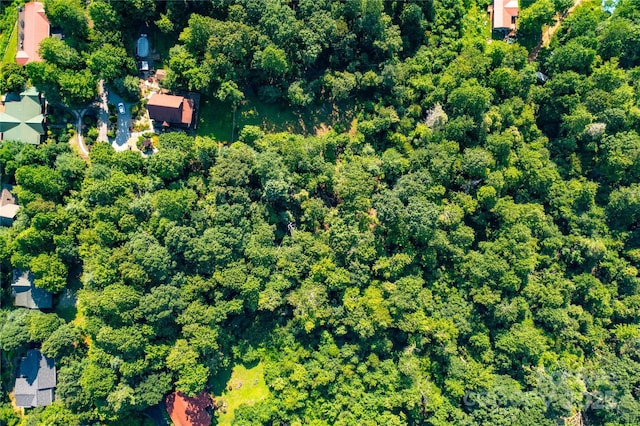 00 Glen Echo Cir, Saluda, NC 28773