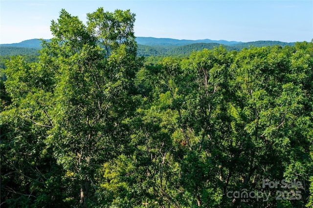 00 Glen Echo Cir, Saluda, NC 28773