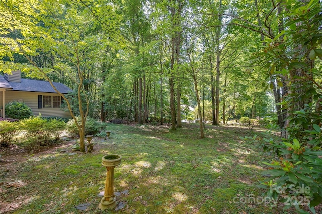 144 Beechwood Dr, Columbus, NC 28722 - view of yard featuring a forest view