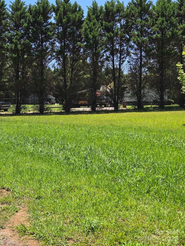 245 Waycross Dr, Rockwell, NC 28138 - view of yard
