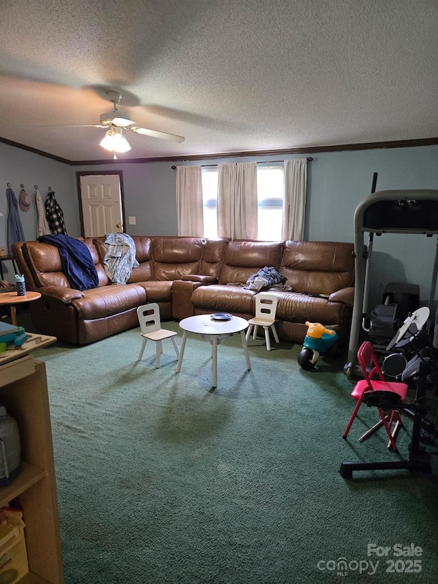 245 Waycross Dr, Rockwell, NC 28138 - living area with carpet, a textured ceiling, and ceiling fan