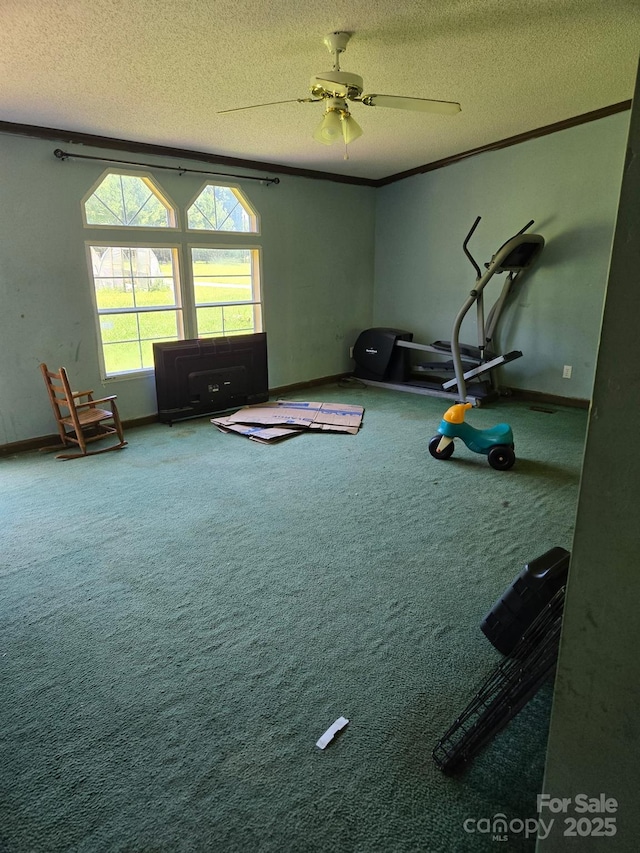 245 Waycross Dr, Rockwell, NC 28138 - workout room with a textured ceiling, carpet flooring, and a ceiling fan