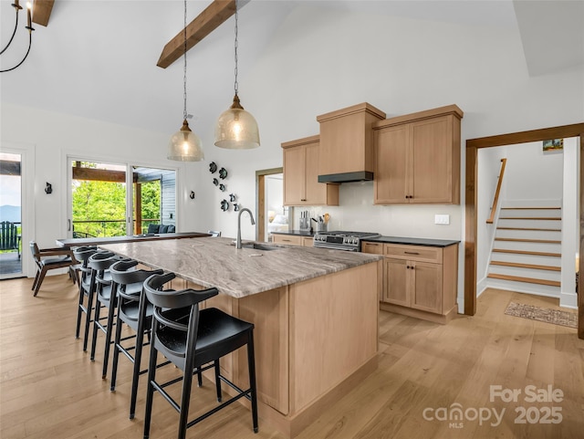 627 Cherry Hl Unit 201, Mill Spring, NC 28756 - kitchen with high vaulted ceiling, high end stove, an island with sink, light wood finished floors, and a kitchen breakfast bar