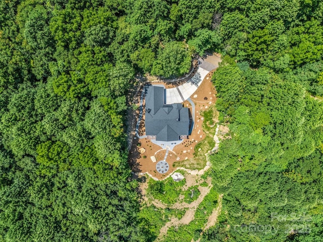 627 Cherry Hl Unit 201, Mill Spring, NC 28756 - aerial view