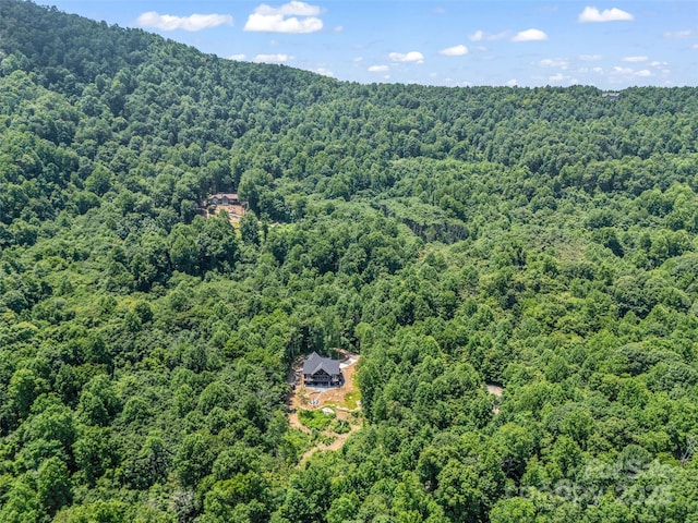 627 Cherry Hl Unit 201, Mill Spring, NC 28756 - bird's eye view of a heavily wooded area