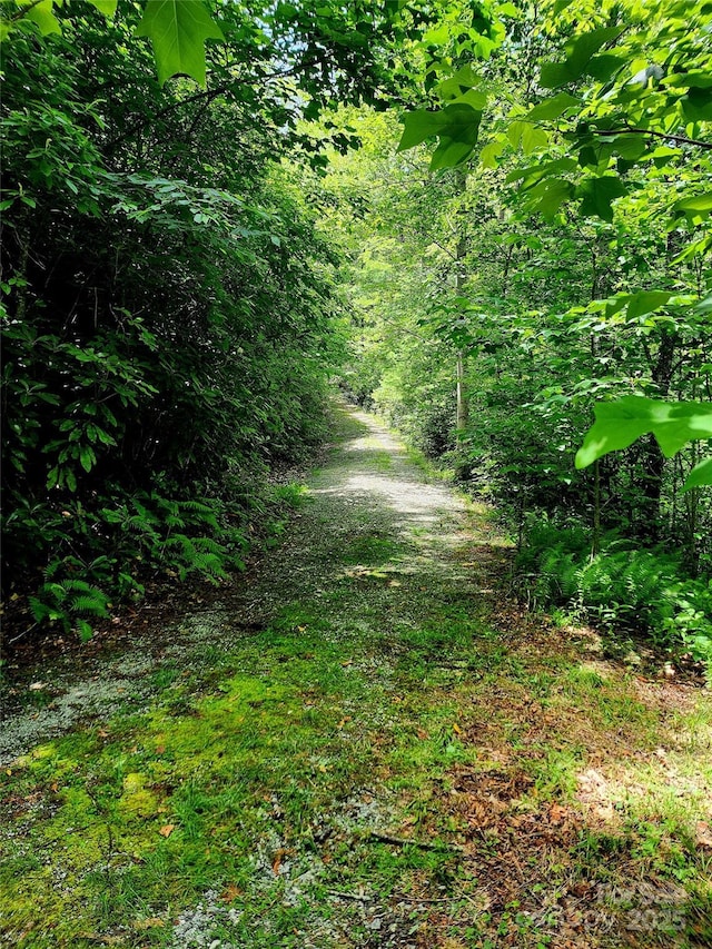 41L Cardinal Dr, Lake Toxaway, NC 28747