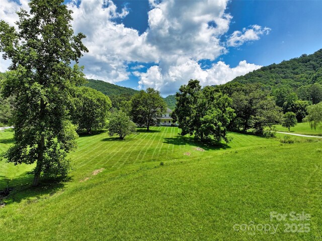80 Meadow Creek Drive 40 & 61, Weaverville, NC 28787 - view of green lawn with a mountain view