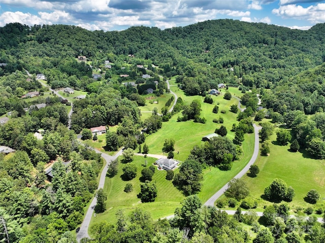 80 Meadow Creek Drive 40 & 61, Weaverville, NC 28787 - aerial view of a forest