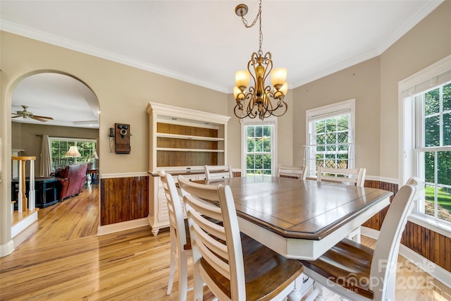 80 Meadow Creek Drive 40 & 61, Weaverville, NC 28787 - dining space with light wood finished floors, plenty of natural light, a chandelier, ornamental molding, and ceiling fan