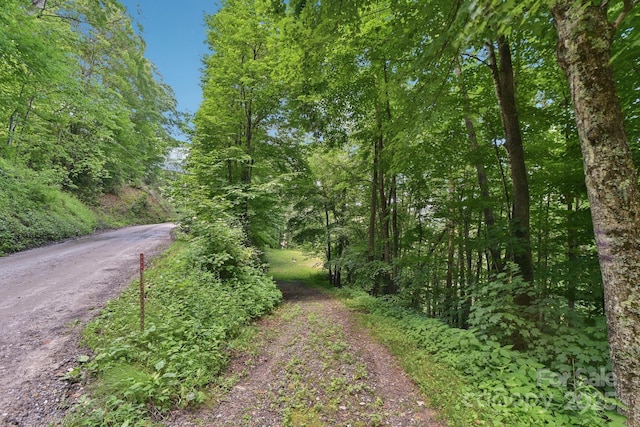 0000 Plott Balsam Rd, Maggie Valley, NC 28751