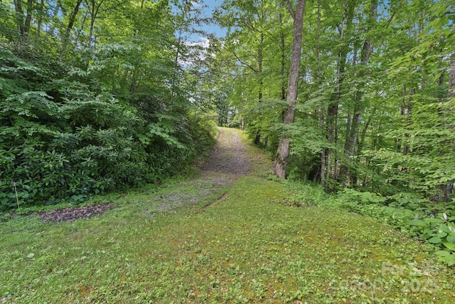 0000 Plott Balsam Rd, Maggie Valley, NC 28751
