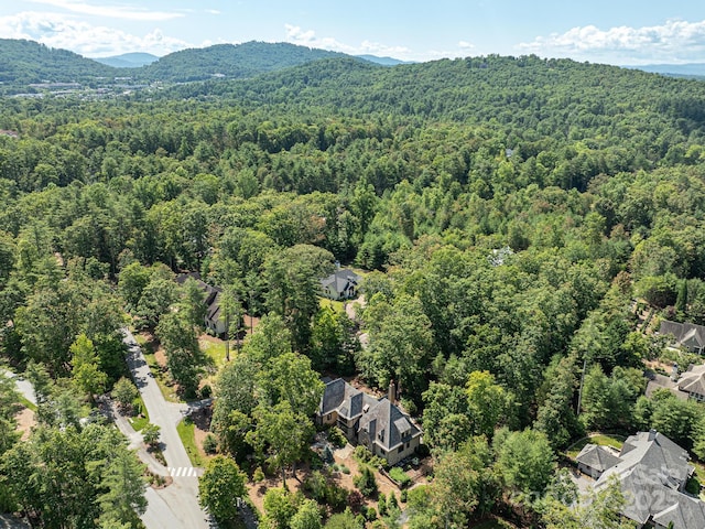 176 Valley Springs Rd, Asheville, NC 28803 - photo 46