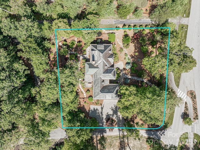 176 Valley Springs Rd, Asheville, NC 28803 - photo 47