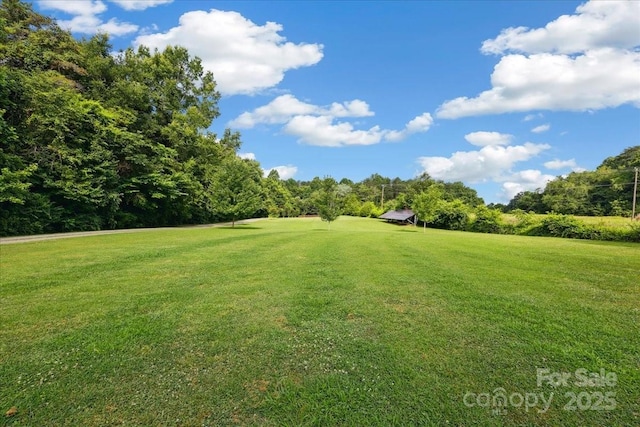 275 Haynes Dr, Salisbury, NC 28146 - view of green lawn