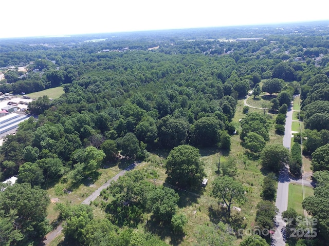110 Perrien Park Loop, Mooresville, NC 28117 - photo 3