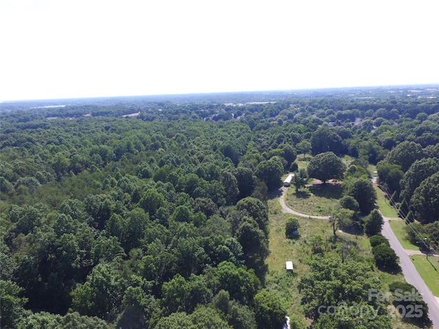 110 Perrien Park Loop, Mooresville, NC 28117 - photo 4